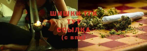 PSILOCYBIN Алексеевка