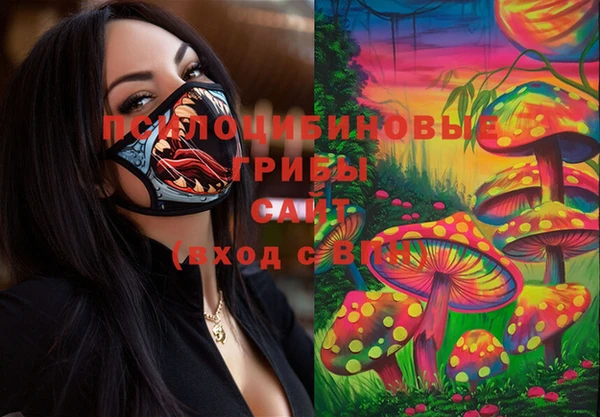 PSILOCYBIN Алексеевка