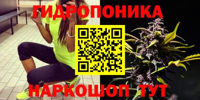 прущая мука Краснознаменск