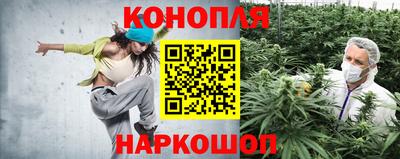 прущая мука Краснознаменск