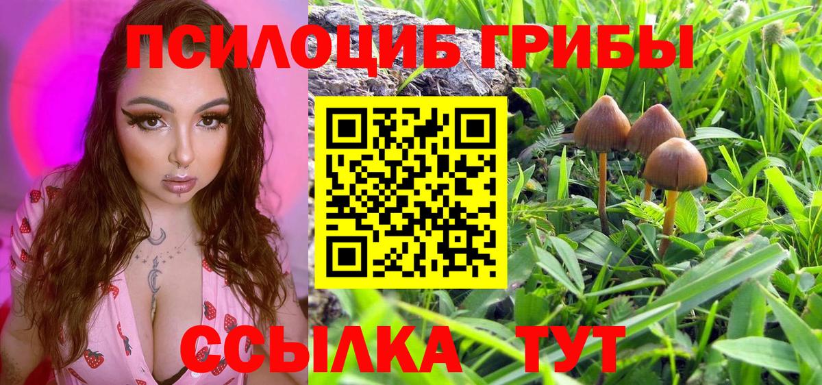 Галлюциногенные грибы прущие грибы  Вход с VPN  Псилоцибиновые грибы Cubensis  Уссурийск 
